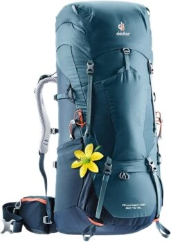 Deuter Aircontact Lite 60+10 SL -Deals Outdoor Camping 1000 126