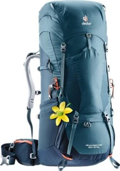 Deuter Aircontact Lite 60+10 SL -Deals Outdoor Camping 1dc2746955ae54ef069bfaf8874301e4