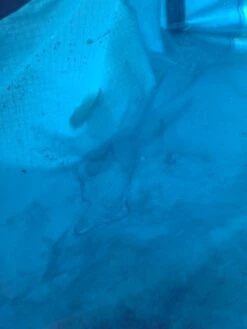 Sierra Designs Flash 2 -Deals Outdoor Camping 20130511 062505