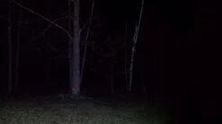 Ledlenser MT10 -Deals Outdoor Camping 20171130 205734