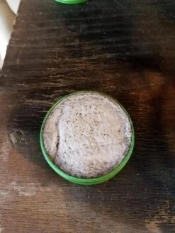 Trail Designs Kojin Stove -Deals Outdoor Camping 20180908 143223