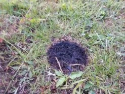 Patagonia Wood Burning Stove -Deals Outdoor Camping 20200613 060553