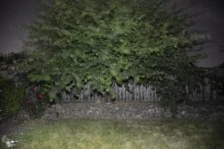 BioLite PowerLight Mini -Deals Outdoor Camping BioStill07