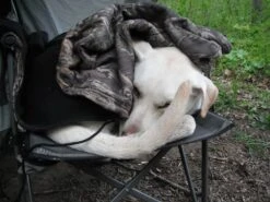 ALPS Mountaineering Lightweight Series Self Inflating Air Pads -Deals Outdoor Camping DSCF0020