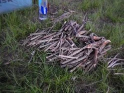 BioLite CookStove -Deals Outdoor Camping DSCN9424