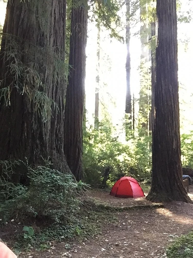 Hilleberg Soulo 17 Hilleberg Soulo - Image 15