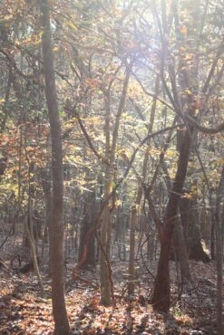 Granite Gear Vapor Current Airbeam Frame -Deals Outdoor Camping IMG 1763