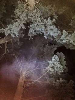 Ledlenser MT10 -Deals Outdoor Camping LEDlenser 6 of 6