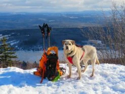 L.L.Bean Trail Model Hunting Pack -Deals Outdoor Camping feb elmore 3