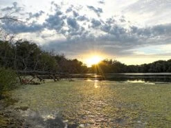 MSR Guardian Purifier -Deals Outdoor Camping msr13 easyHDR