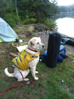 ALPS Mountaineering Lightweight Series Self Inflating Air Pads -Deals Outdoor Camping site 4 mat 1